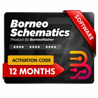 Borneo Schematics 12 Months 1 User Activation